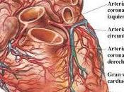 Enfermedades cardiovasculares riesgo muerte