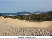 Dunas playa Joaquina Sandboard