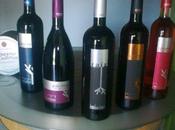 Visita Bodega Nuestras Cepas (Páramo Guzmán)