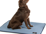 OnlineValles desarrollado www.masakata.com