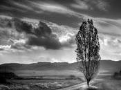 4.224 fragmento diario