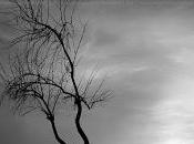 4.226 cierras sentidos...