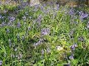 4.229 gran silencio...