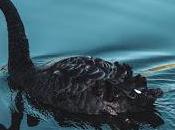 cisne negro (2007), nassim nicholas taleb. impacto altamente improbable.