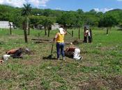 Acusan Director ISSSTE Tamasopo estar relacionado despojo tierras