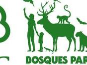 hemos certificado como imprenta FSC: ¿qué significa?