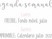 Agenda Semanal 22/06 28/06