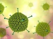 adenovirus ataca sistema eléctrico corazón