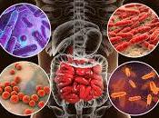 Bacterias Intestinales determinan Salud cada Etnia