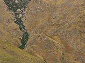 Monte Whitii