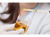 ¿Cómo dietas pueden afectar nuestra Salud?