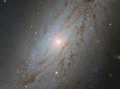 enorme velocidad galaxia 7513, candidata formula galáctica
