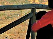 Asociación Friendly Bierzo lanza nuevo vídeo para conocer turismo perro