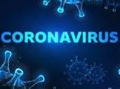 #Coronavirus: Experto #OMS: improbable podamos erradicar este virus"