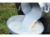 Consumir Leche cruda aumenta resistencia Antibióticos