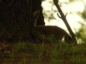 Visita placer nuestra patrona