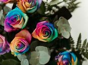 NATURKENVA, especialistas ramos flores artesanales grandes dimensiones, lanzan tienda online