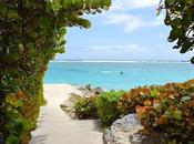 Barbados visa meses para trabajes desde playa