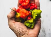 Cómo hacer salsa picante fermentada
