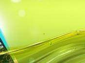 lanza mercado primer Aceite oliva virgen extra ecológico plancton