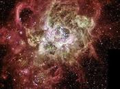 604: vivero estelar gigante