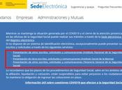 Cómo realizar trámites Seguridad Social certificado digital
