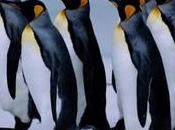 Again sobre corrupta Universidad