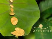Verde: inversión Biodiversidad Colombia