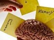 'Efecto Google' memoria cibernautas