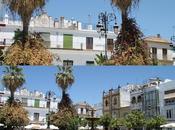 Sanlúcar wineries look