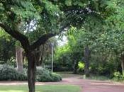 Jardines Villa Amelia
