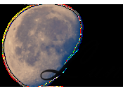 Reseña #437 Asesino brujas bruja blanca