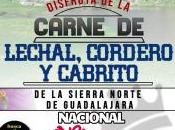 ¡Compra Sierra Norte Guadalajara!