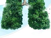 Haier: desde este verano servicio técnico disponible móvil