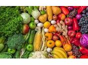 Descubren Molécula revierte deterioro Memoria