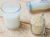 ¿Cómo elaborar leche arroz?