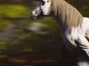 Lands Raynar anunciado para PlayStation