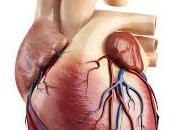 Estado Nutricional determina pronóstico Síndromes Coronarios