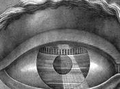 Juhani Pallasmaa, Visión conocimiento