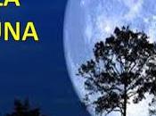 Todo sobre luna