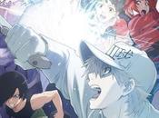 Anunciado nuevos detalles película "Cells Work!", para septiembre