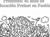 Perfil: años educación Freinet Puebla
