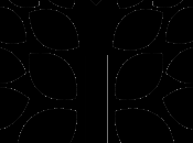 ejemplos organismos autótrofos