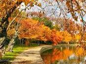 4.308 fragmento diario