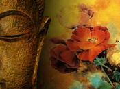 Adicción práctica para salir adicción