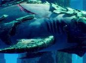 Maneater hincará diente siguiente generación