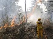 Siguen control incendios Córdoba: fuego destruyó hectáreas sierras