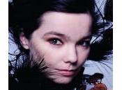 Björk: Otra división