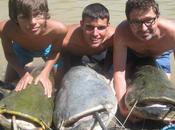 Pesca siluros ebro