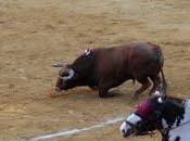 Corrida Concurso limpieza corrales Huesca